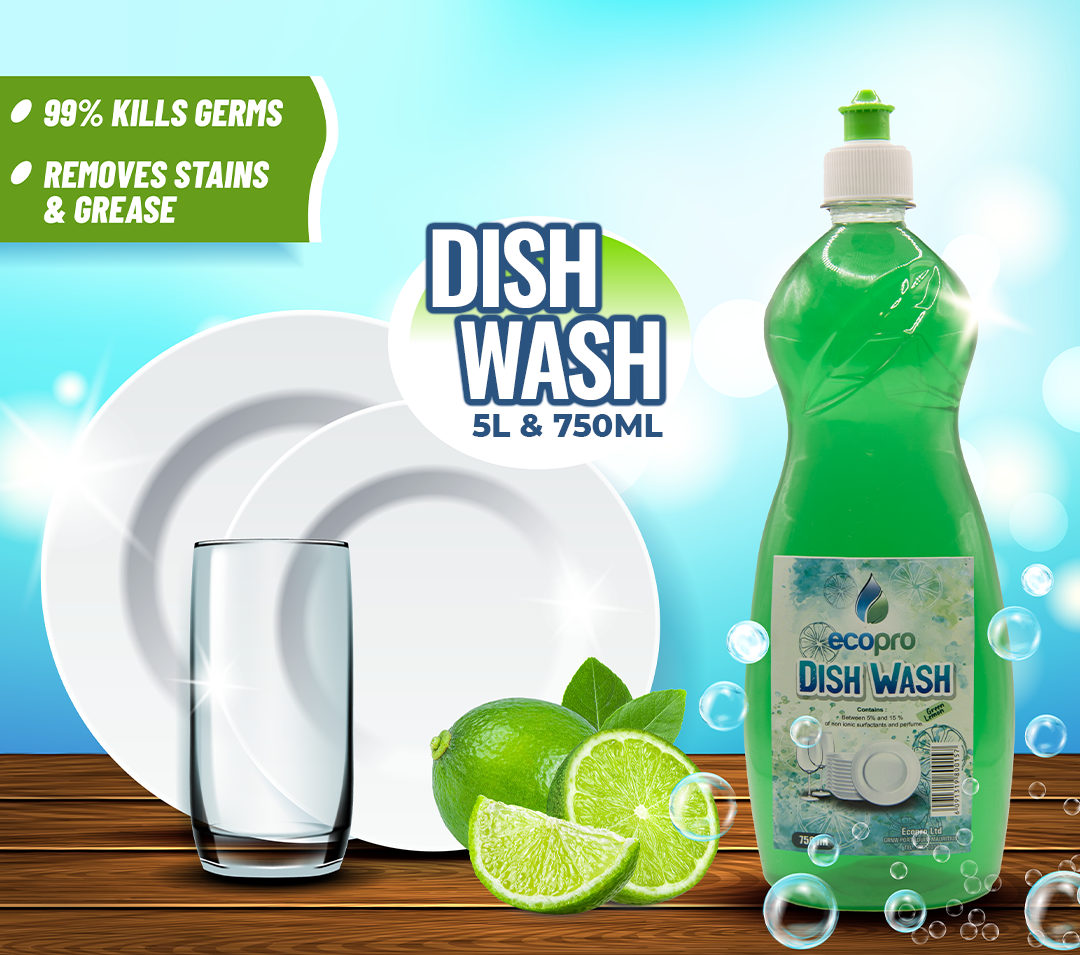 Dish Wash
