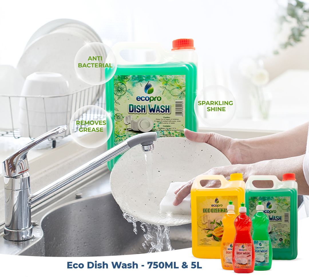 Dish Wash