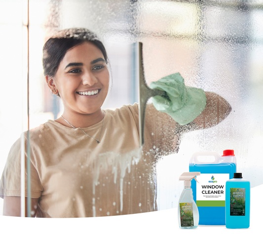Window Cleaner